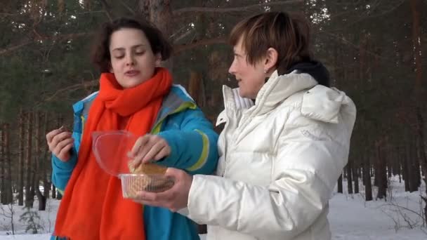 Zwei Frauen im Winter bei einem Picknick — Stockvideo