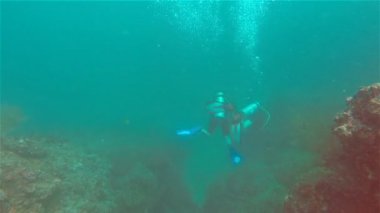 Sualtı mercan resifleri Dalış, iki kadın,