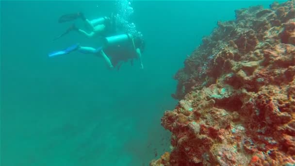 Dykning, två kvinnor, Underwater korallrev — Stockvideo