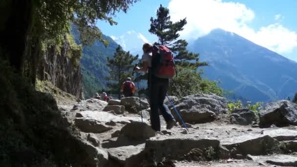 Непал, Гималаи, Гора, Женщина, Турист, Треккинг, Эверест — стоковое видео
