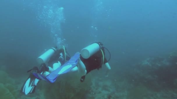 Καταδύσεις, δύο γυναίκες, υποβρύχια κοραλλιογενείς υφάλους — Αρχείο Βίντεο