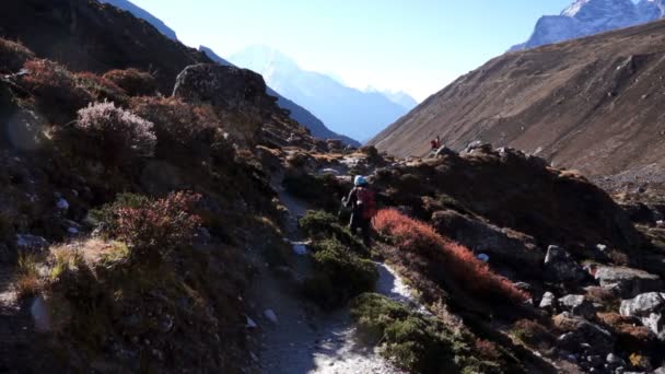 Montañas, Nepal, Sendero, Trekking, Dos, Mover — Vídeo de stock