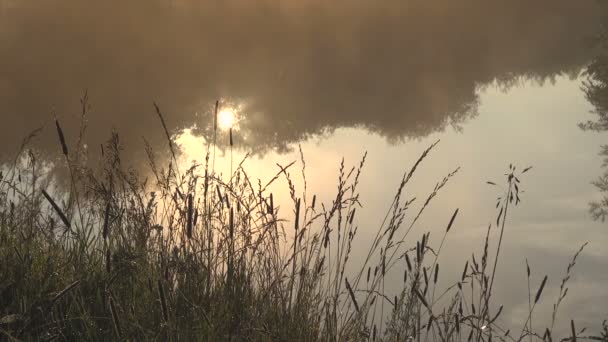 Η αντανάκλαση του ήλιου στον ποταμό. Η ομίχλη σέρνεται πάνω από το νερό. — Αρχείο Βίντεο