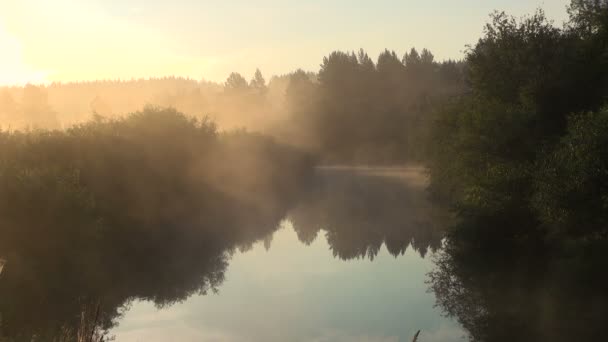 Brouillard sur la rivière au lever du soleil. Été .