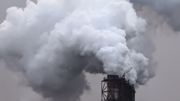 공장의 굴뚝에서 나오는 연기의 공기 오염 구름 — 비디오