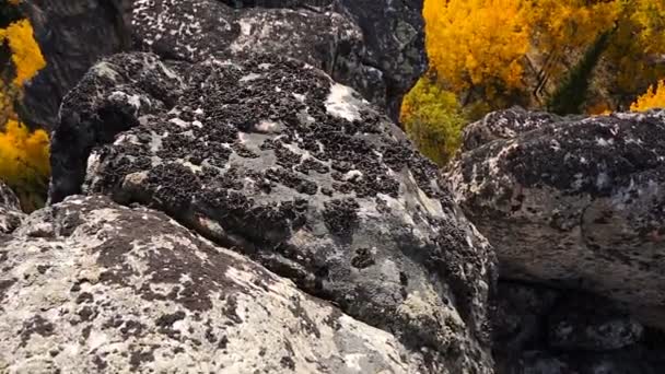 Subir acima das rochas Outono, dia ensolarado com vista para o pássaro — Vídeo de Stock