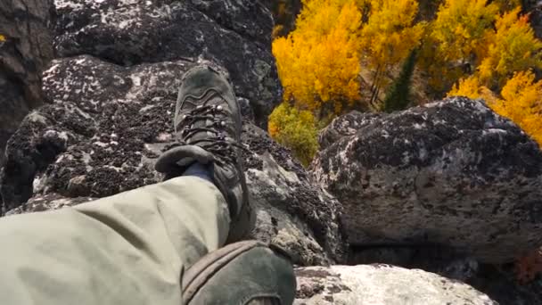 Subir acima das rochas Outono, dia ensolarado com vista para o pássaro — Vídeo de Stock
