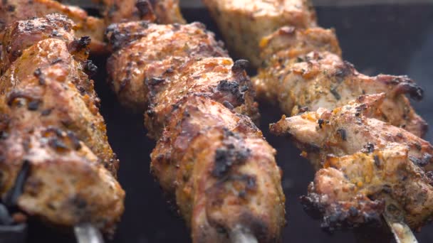 Carne Barbacoa de cerdo con especias en las brochetas Asados grandes en la parrilla — Vídeo de stock