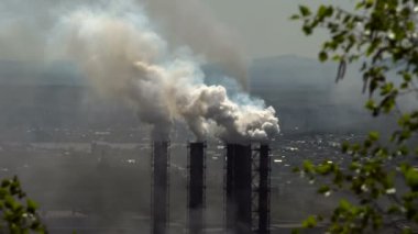 Bitki hava kirliliği. Duman ve yeşil bir ağaç dallarında boruları.