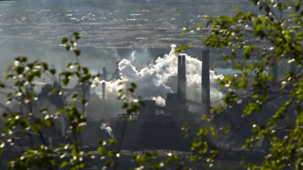 Zanieczyszczenia powietrza z roślin. Dym i rury przez zielone gałęzie drzewa. — Wideo stockowe