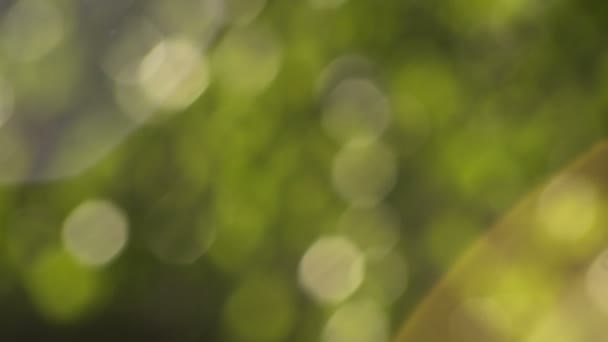 Abrégé Nuances chaudes de vert blanc jaune Bokeh 