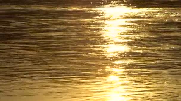 Golden River oppervlak van de zon bij zonsondergang — Stockvideo