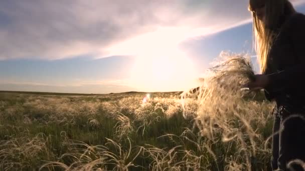 金发女人收集花束羽毛在沙漠日落慢动作 — 图库视频影像