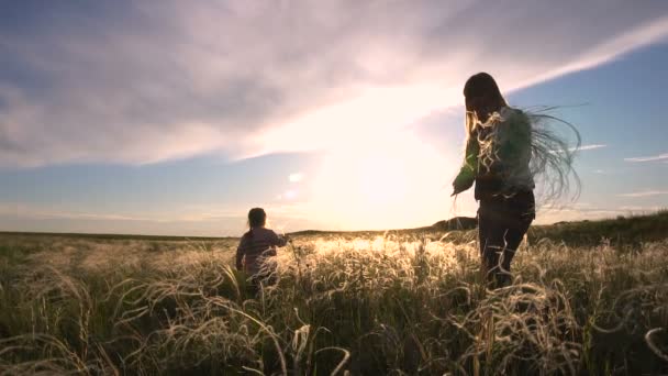 Silhuetter av kvinnan och den blonda flickan kommer att fjädern buketter i öknen på Sunset Slow Motion — Stockvideo