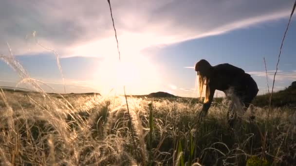 Blonde vrouw verzamelt boeket veer in de woestijn bij zonsondergang Slow Motion — Stockvideo