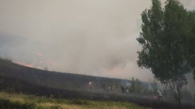 Orman yangını. Ateşi söndürme. İnsanlar yangın ağaç dalları kes