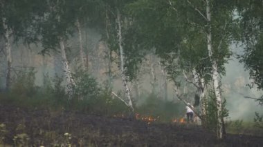 Orman yangını. Flame.people söndürme ormanda bir yangın söndürmek