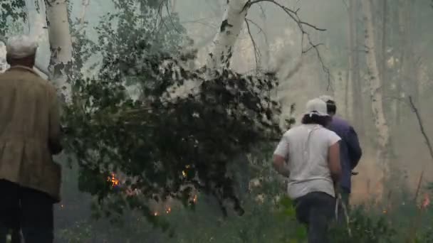 Fuego Forestal. Apagando la Llama. La gente golpea las ramas del árbol de fuego — Vídeo de stock