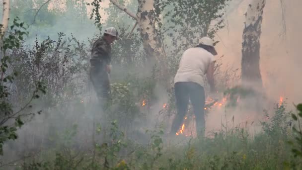 Fogo florestal. Extinguir a Chama. Pessoas batem os ramos da árvore de fogo — Vídeo de Stock