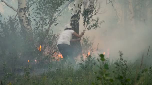 Erdőtűz. A láng eloltására. Az emberek Knock a tűz-fa ágai — Stock videók