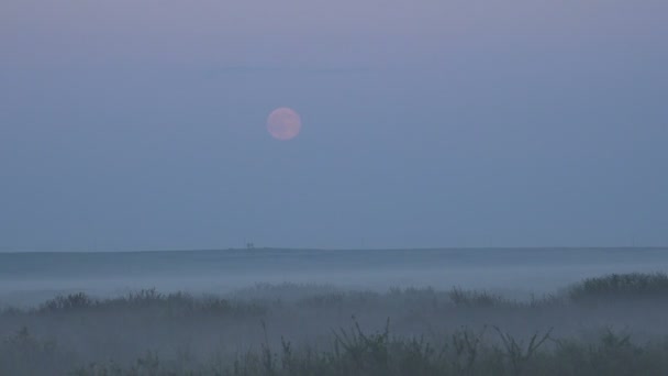 Rising Full Moon Rose Over the Misty Valley .taymlaps. Summer Evening — Stock Video
