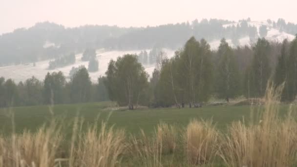 Zelená tráva pokryté svahy Snow.mountain na sněhu, na jaře. — Stock video