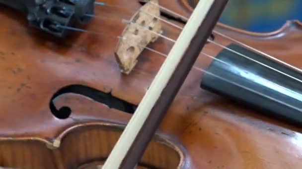 Playing the old  violin — Stock Video