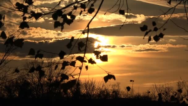 秋天的日落时间间隔射击游戏中时光倒流 — 图库视频影像