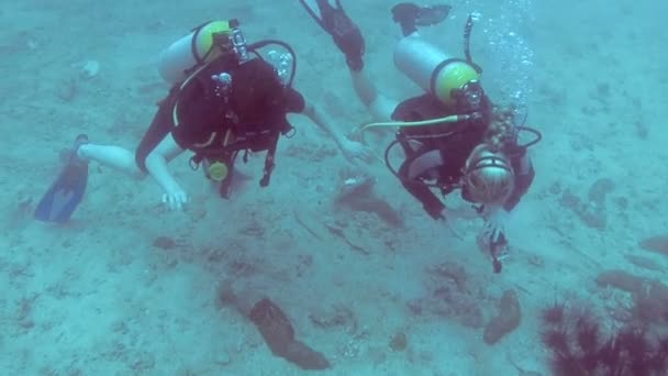 Underwater Photographing Eels Two Women Divers — Stock Video