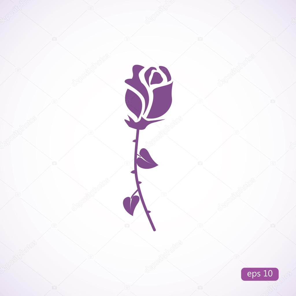 beautiful rose icon