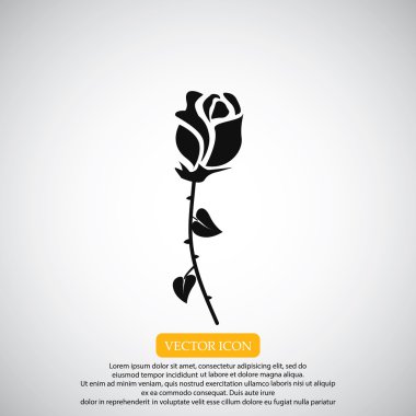 gül çiçeği simgesi