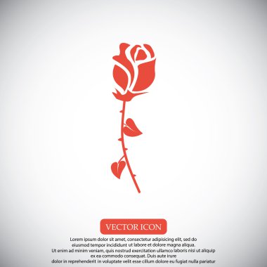 gül çiçeği simgesi