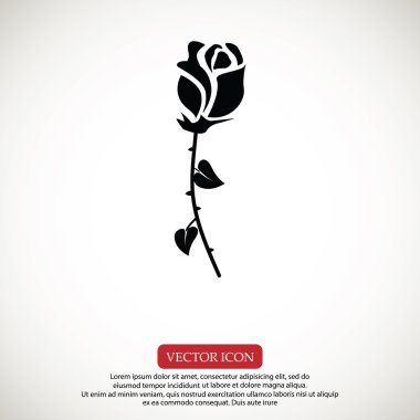 gül çiçeği simgesi