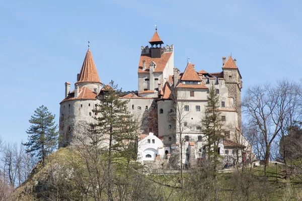 Drakula Şatosu Transylvania'da