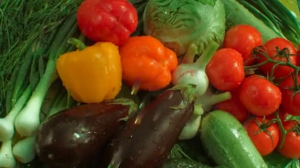 Légumes sur la table — Video