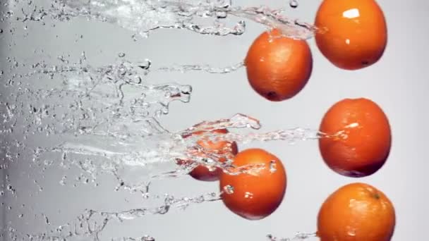 Grapefruits in water splash — Stockvideo