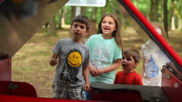 Los niños están considerando una araña — Vídeo de stock