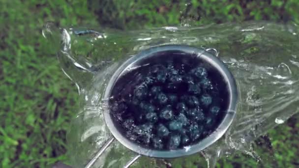 蓝莓在流水下 — 图库视频影像