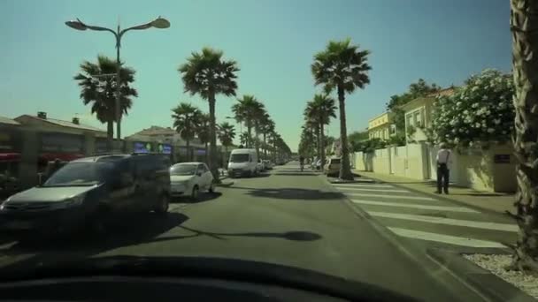 Dirigindo através de palmeiras Agde, França — Vídeo de Stock