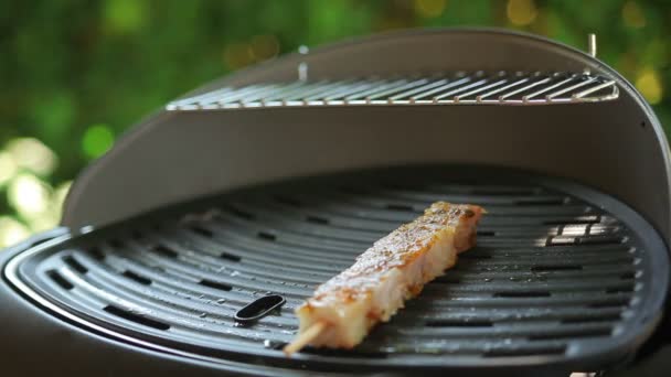 Espetos de peixe frito em uma grelha — Vídeo de Stock
