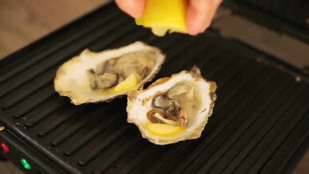 Hot oysters with butter on the grill — Stock Video