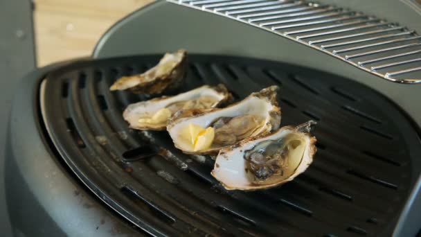 Hot oysters with butter on the grill — Stock Video