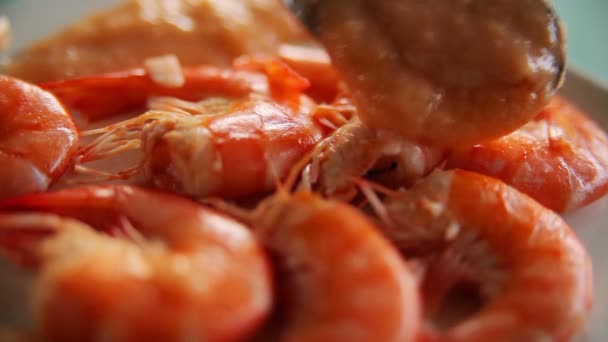 Shrimps with sauce on a plate — Stock Video