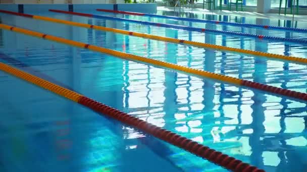 Tracks swimming pool — Stock Video