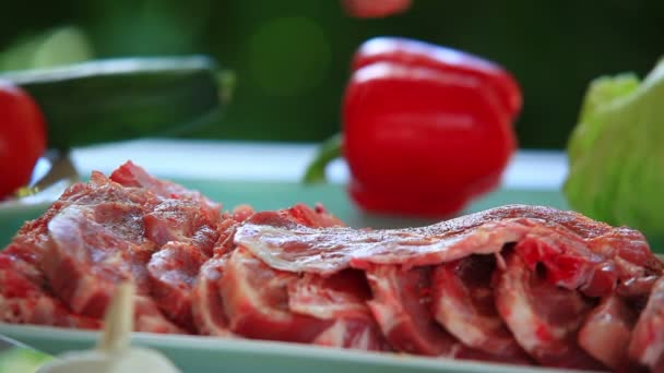 Preparare la carne per la bistecca . — Video Stock