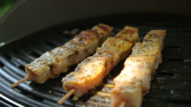 Brochetas de pescado frito en una parrilla — Vídeos de Stock