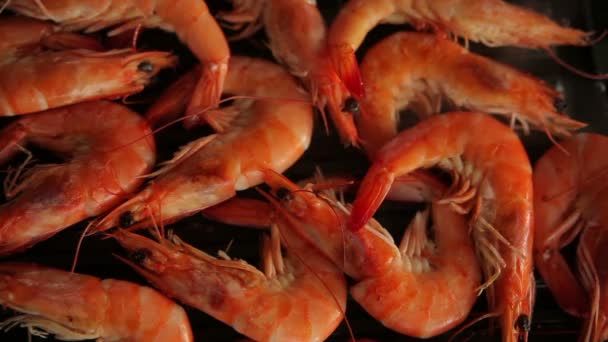 Udang dengan saus di piring — Stok Video