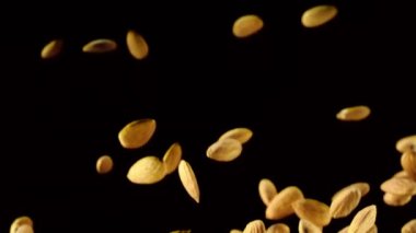 Fındık siyah bir arka plan üzerinde uçuyor