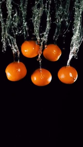 Апельсины летают с струей воды — стоковое видео