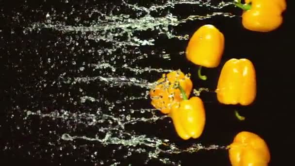 Paprika flyga med stänk av vatten — Stockvideo